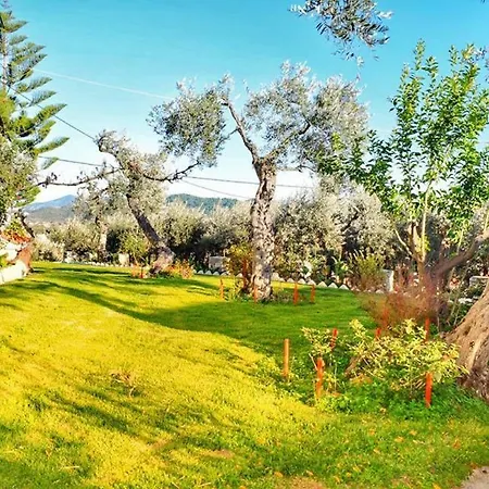 Διαμέρισμα Araucaria House