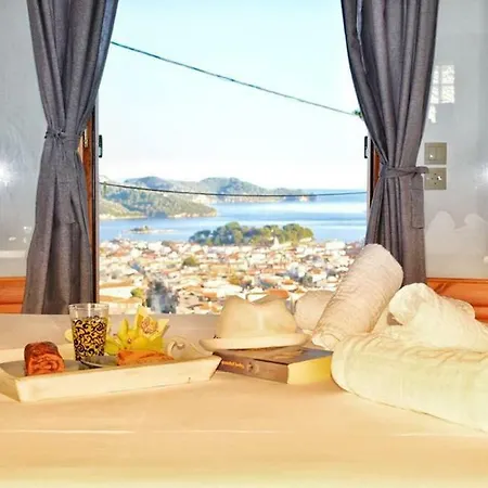 Apartment Araucaria House *